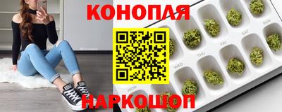 молекула духа Новозыбков