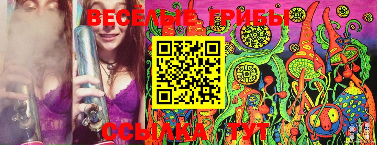 Псилоцибиновые грибы Magic Shrooms Сочи