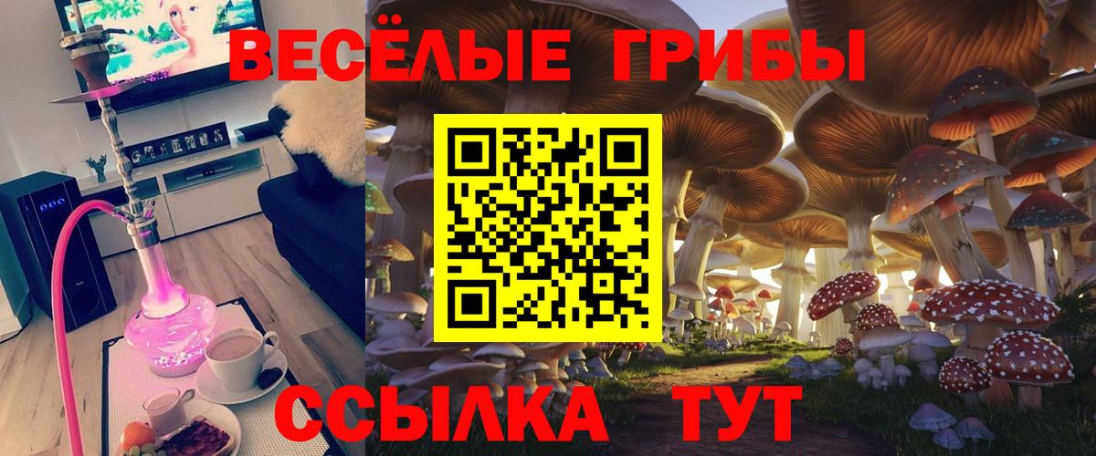 Галлюциногенные грибы GOLDEN TEACHER  Галлюциногенные грибы мицелий  Вход с VPN  Сочи 
